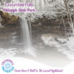 Cucumber Falls Waterfall in Ohiopyle State Park, Pennsylvania