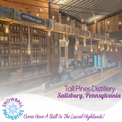Tall Pines Distillery, Rustic Bar