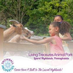 Living Treasures Animal Park, Laurel Highlands, Pennsylvania