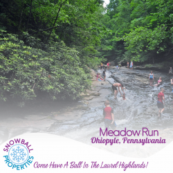 Meadow Run, Ohiopyle State Park, Ohiopyle, Pennsylvania