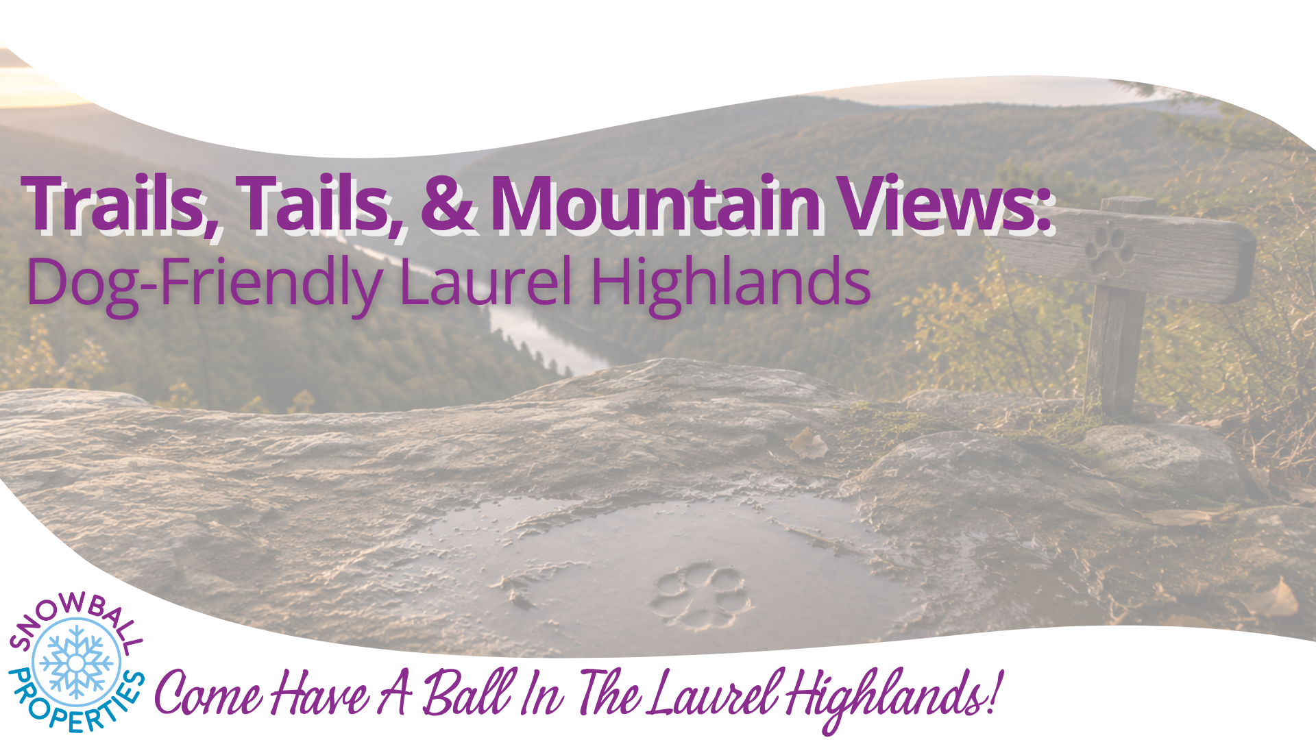Trails, Tails, & Mountain Views: Dog-Friendly Laurel Highlands