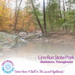 Linn Run State Park, Stahlstown, Pennsylvania, Dog-Friendly Hiking