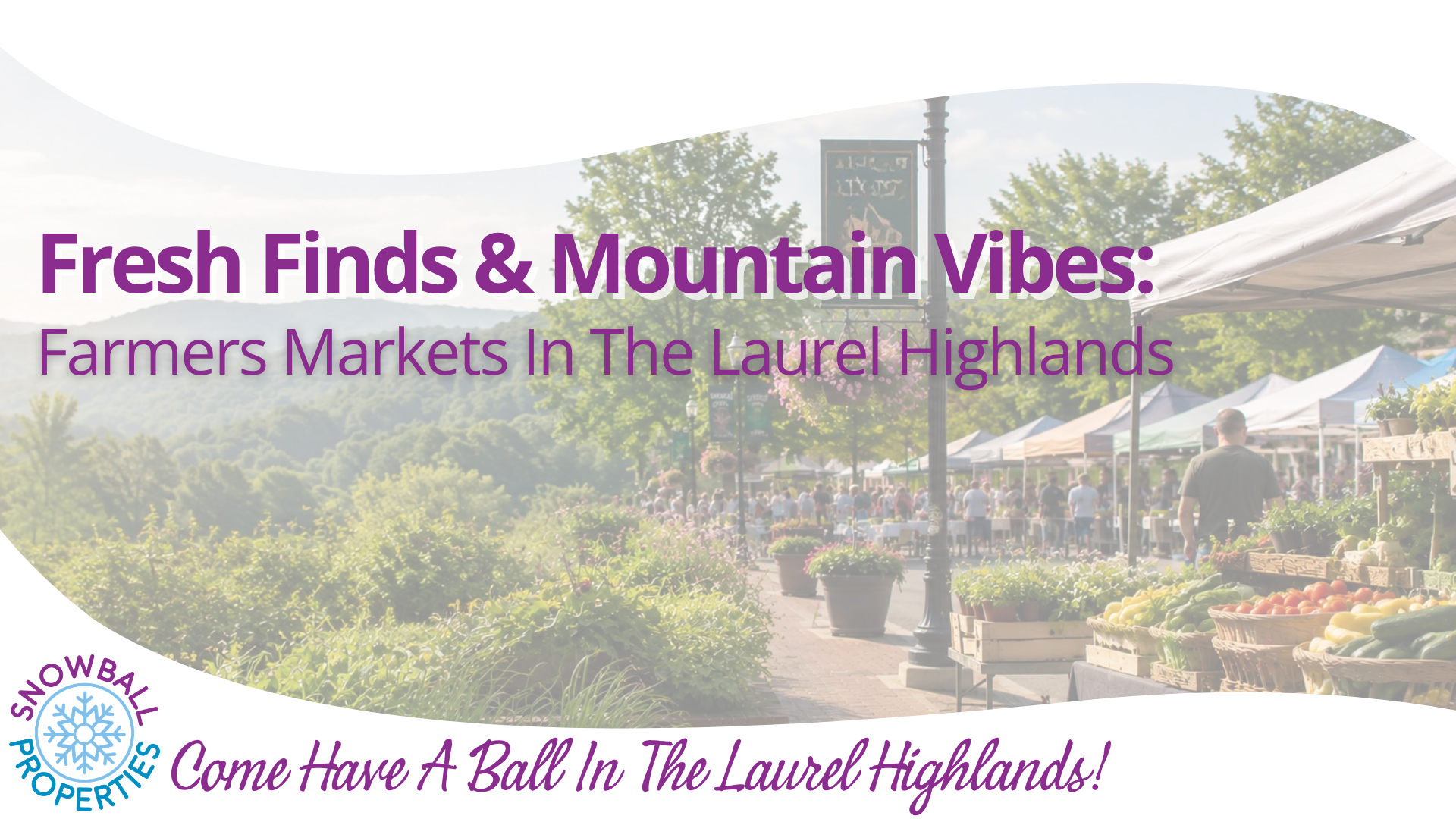Fresh Finds & Mountain Vibes: Farmers Markets in the Highlands