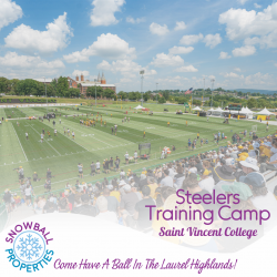 Saint Vincent College, Pittsburg Steelers, Football, Training Camp