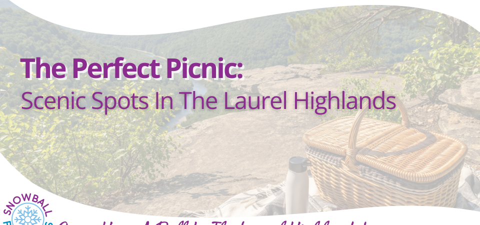 The Perfect Picnic: Scenic Setups in the Laurel Highlands