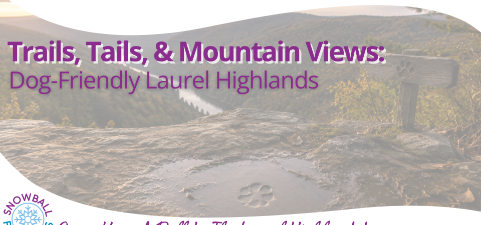 Trails, Tails, & Mountain Views: Dog-Friendly Laurel Highlands