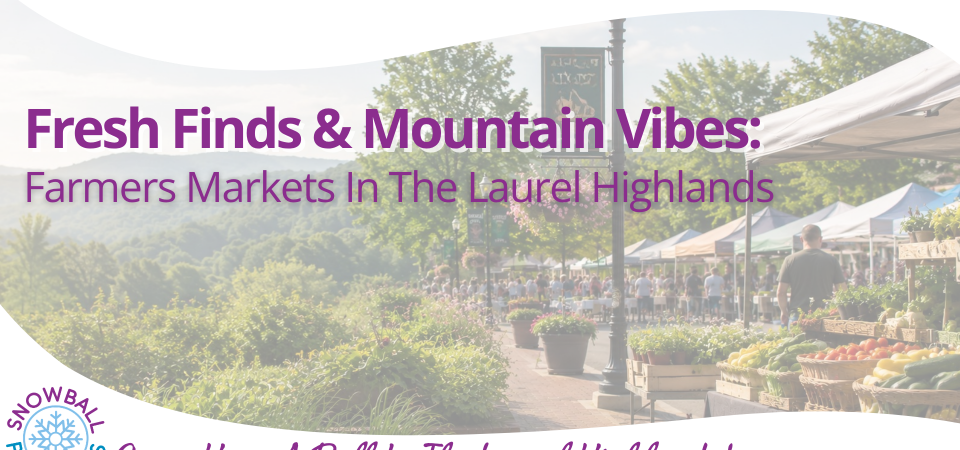 Fresh Finds & Mountain Vibes: Farmers Markets in the Highlands