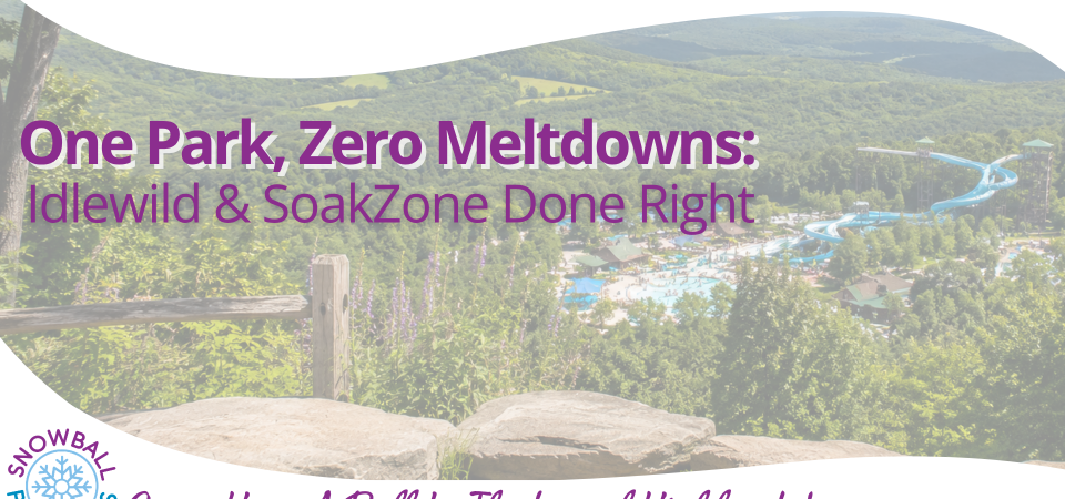 One Park, Zero Meltdowns: Idlewild & Soakzone Done Right