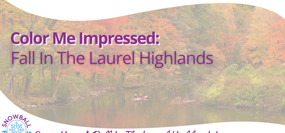 Color Me Impressed: Fall in the Laurel Highlands